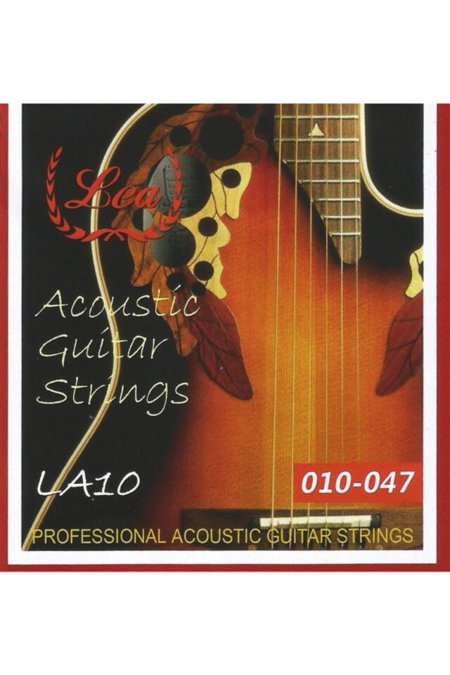 Akustik Gitar Teli